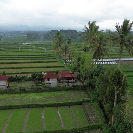 New Rinjani Homestay เตเตบาตู ภายนอก รูปภาพ