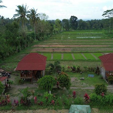 New Rinjani Homestay เตเตบาตู ภายนอก รูปภาพ