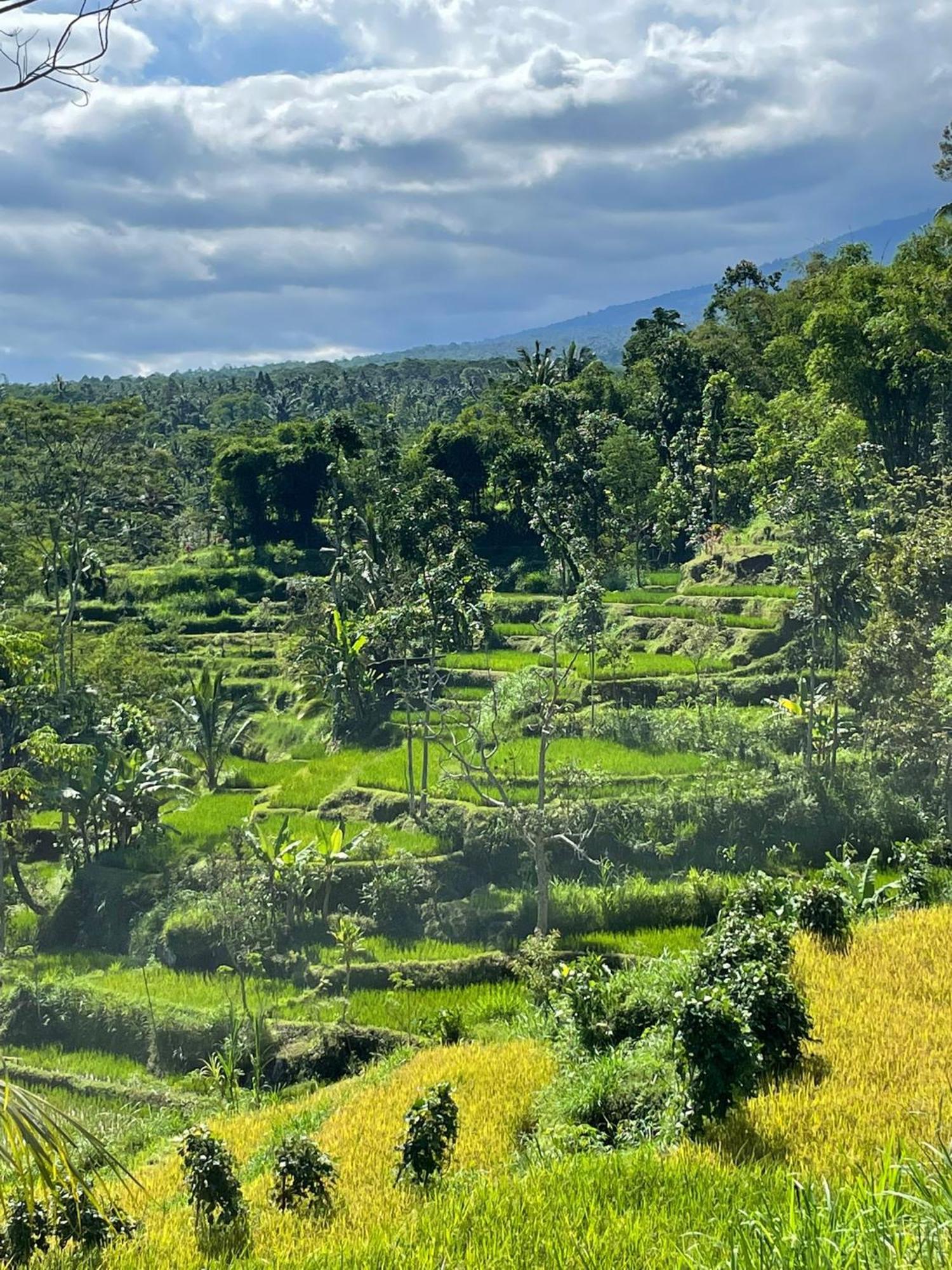New Rinjani Homestay เตเตบาตู ภายนอก รูปภาพ