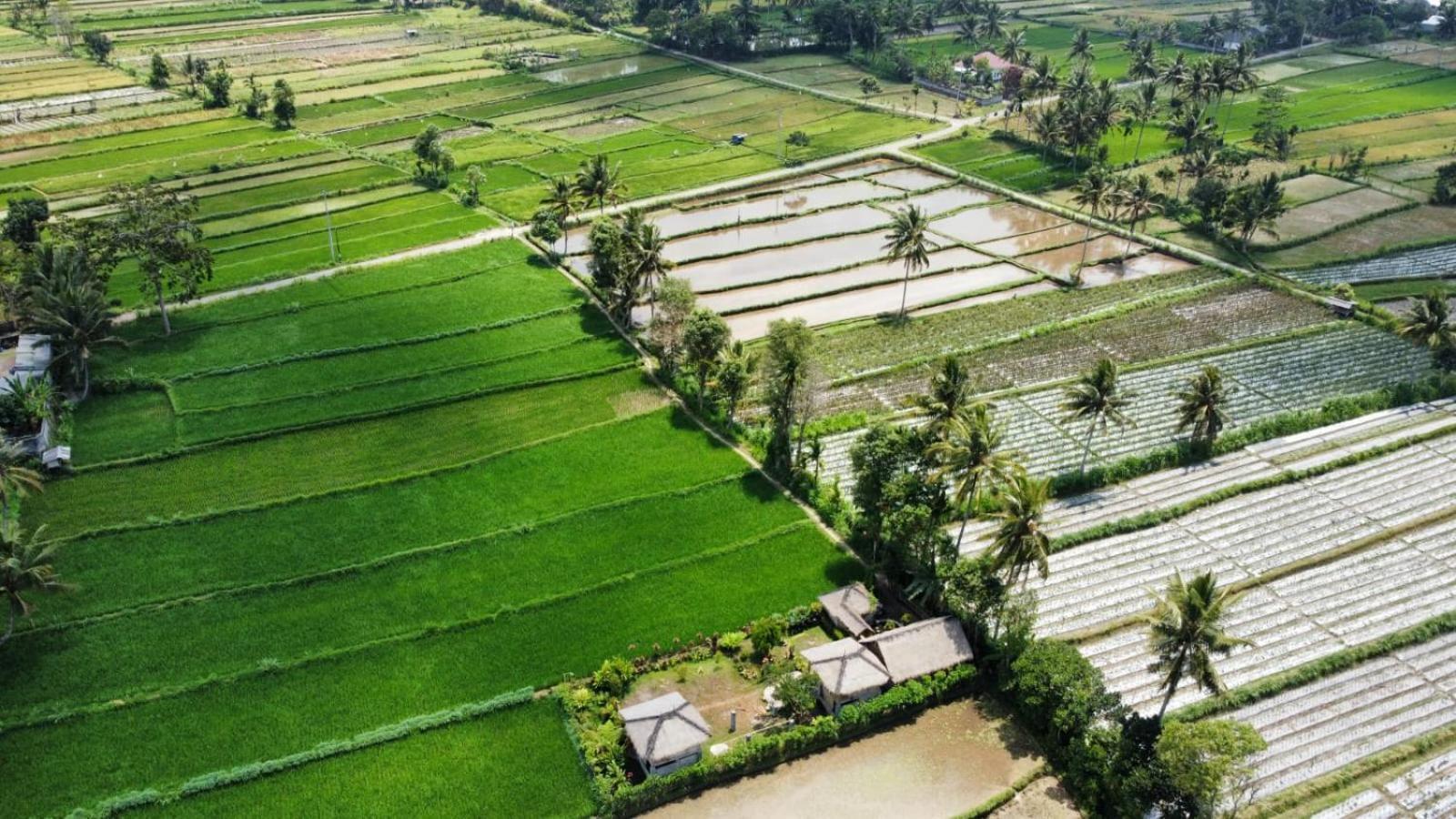 New Rinjani Homestay เตเตบาตู ห้อง รูปภาพ