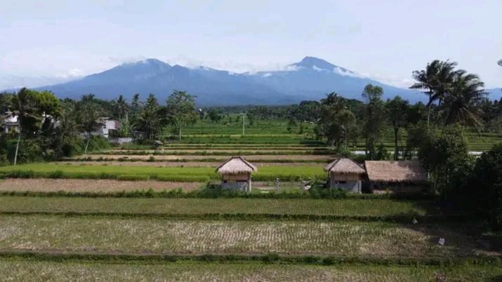 New Rinjani Homestay เตเตบาตู ภายนอก รูปภาพ