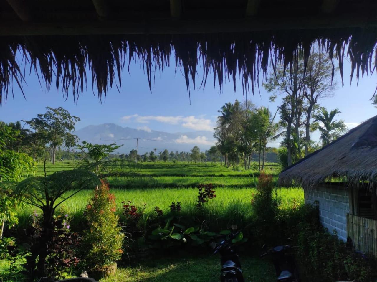 New Rinjani Homestay เตเตบาตู ภายนอก รูปภาพ