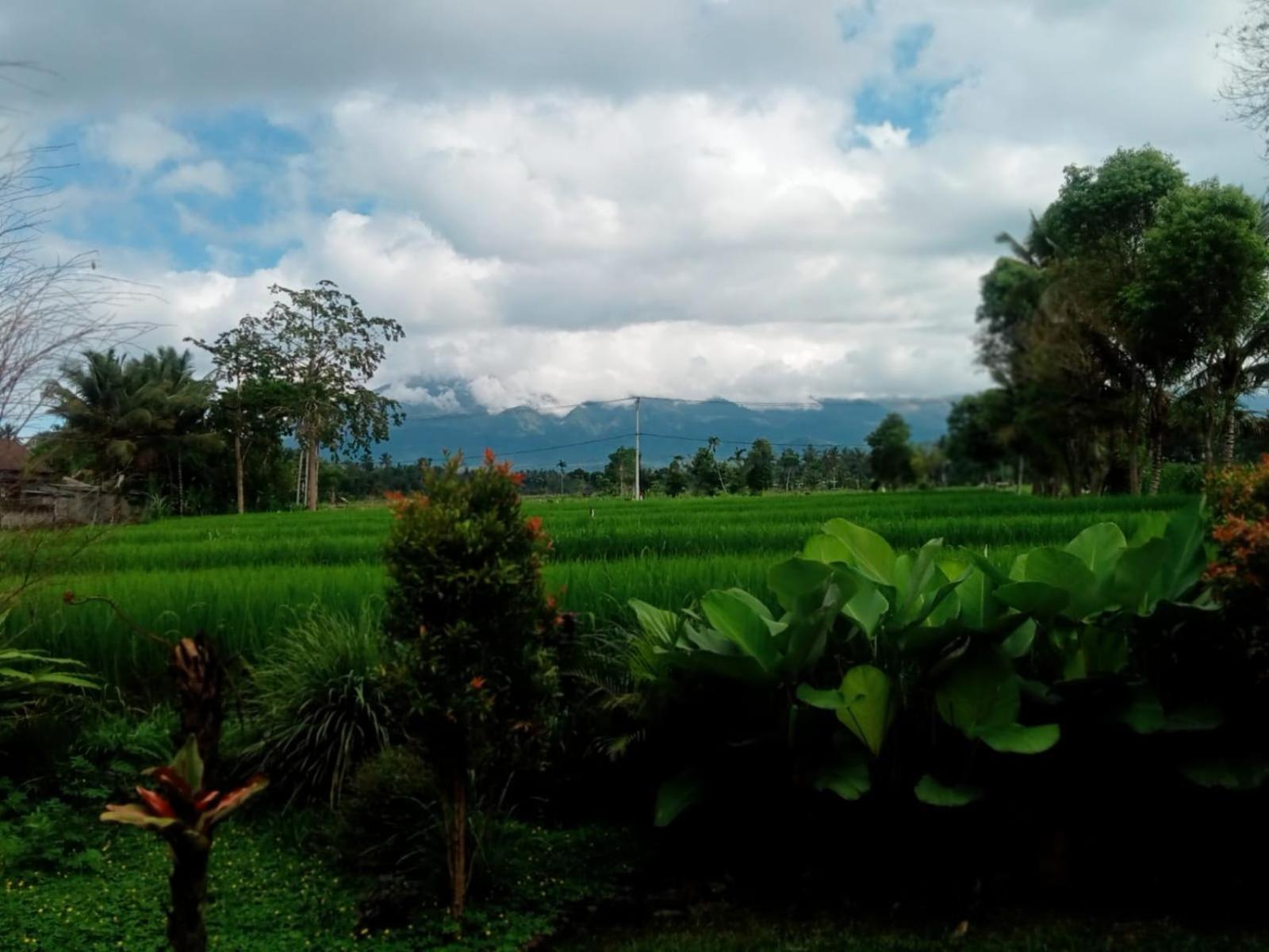 New Rinjani Homestay เตเตบาตู ห้อง รูปภาพ