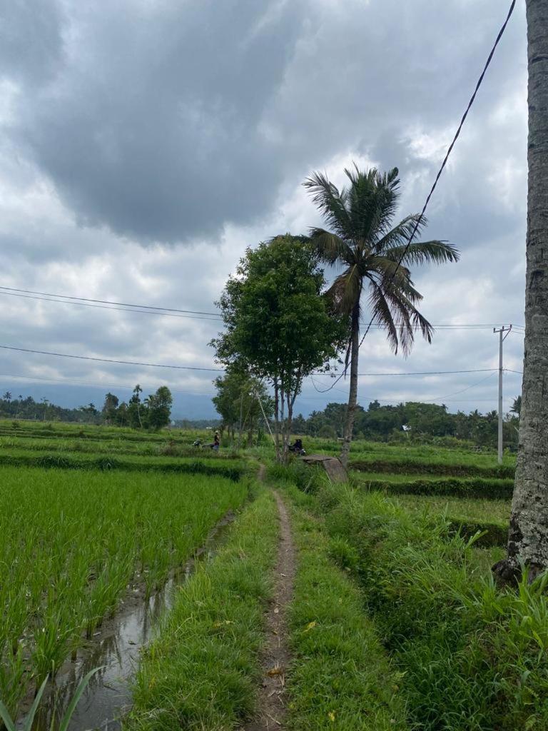 New Rinjani Homestay เตเตบาตู ห้อง รูปภาพ