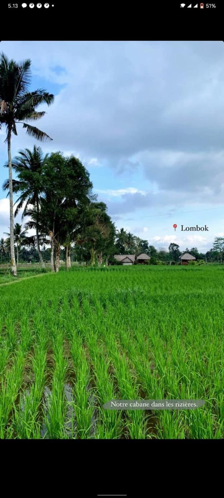 New Rinjani Homestay เตเตบาตู ห้อง รูปภาพ