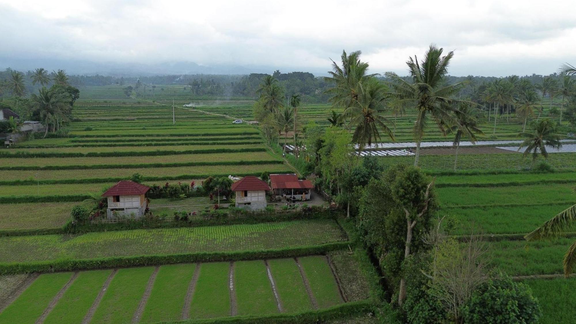 New Rinjani Homestay เตเตบาตู ภายนอก รูปภาพ