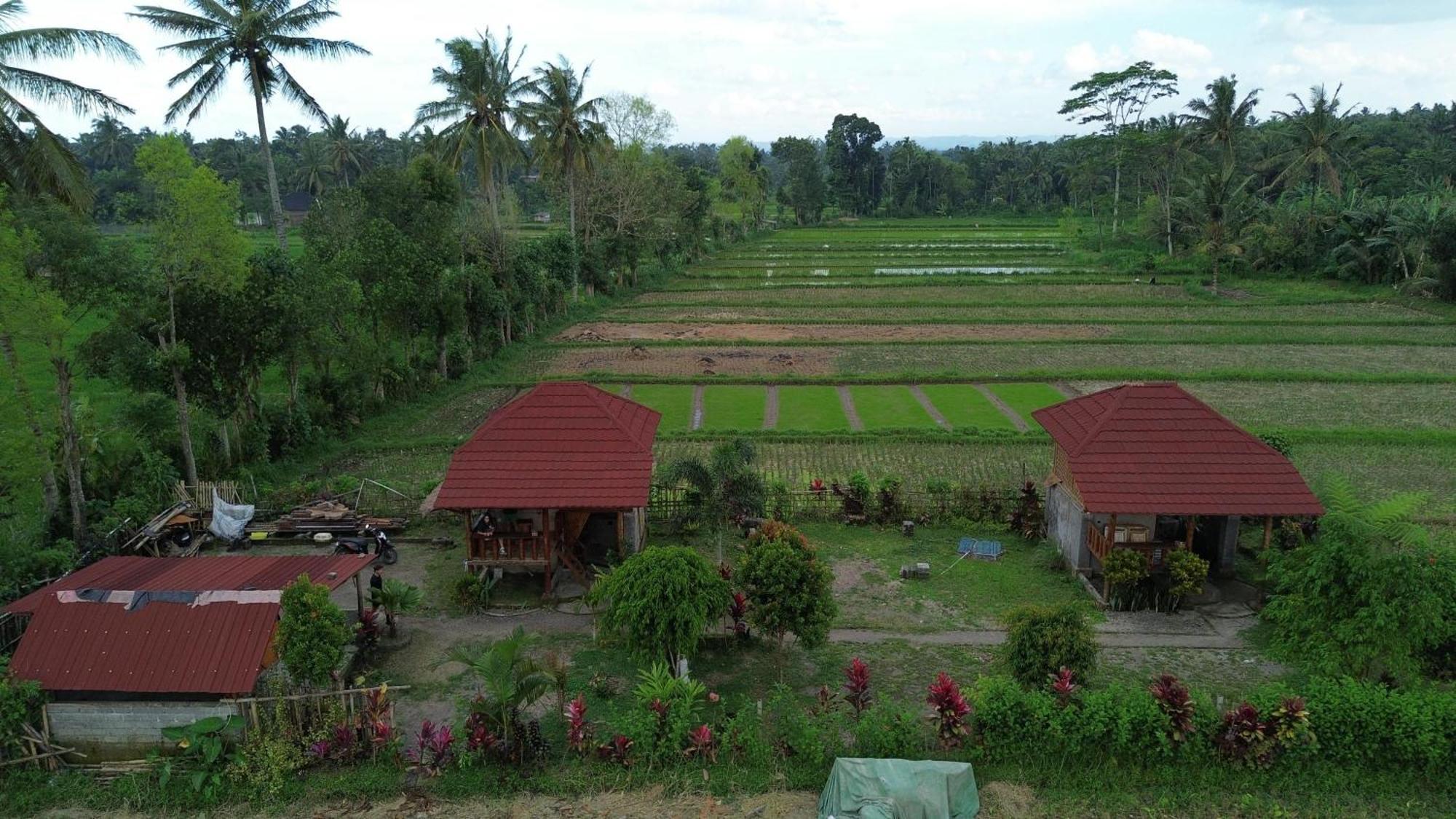 New Rinjani Homestay เตเตบาตู ภายนอก รูปภาพ